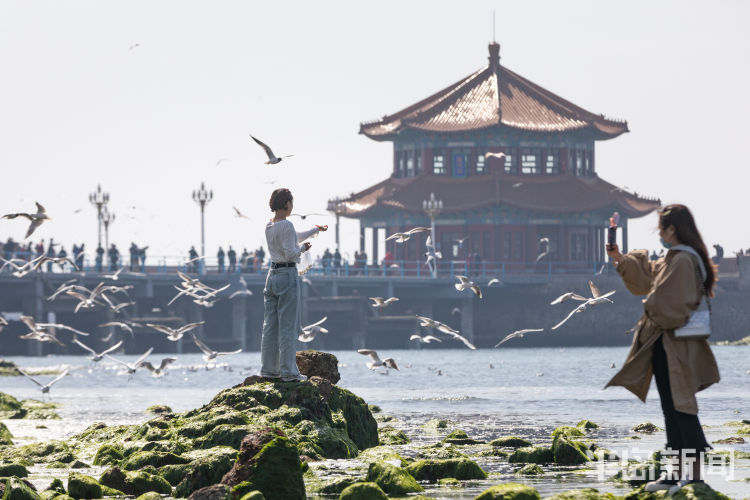 「栈桥」栈桥人不少，六浴已开放