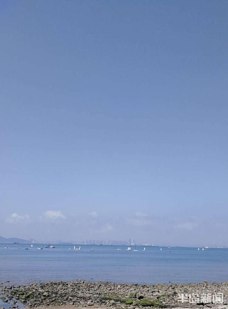 蓝天蓝天和“棉花糖”跟青岛有个约会