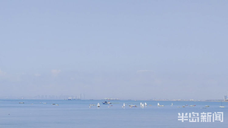 蓝天蓝天和“棉花糖”跟青岛有个约会
