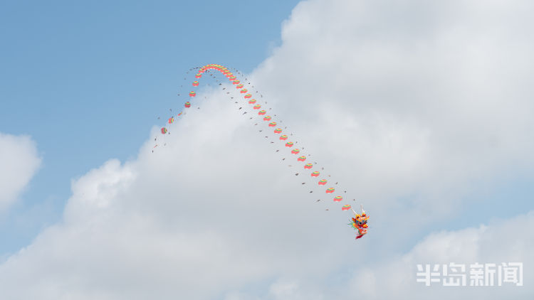 蓝天蓝天和“棉花糖”跟青岛有个约会
