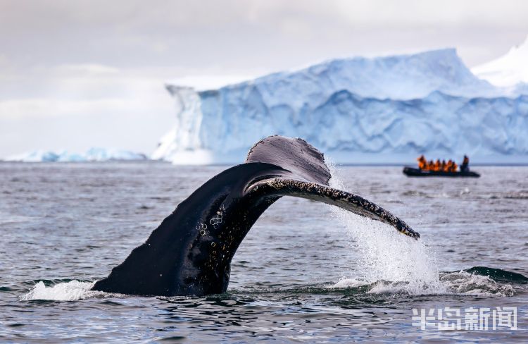 青岛|新闻传奇，他就是第一现场