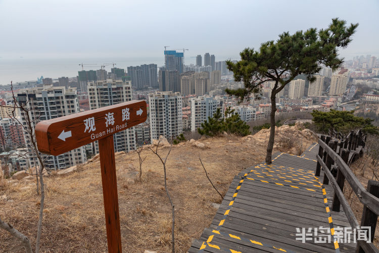 登高望远好去处浮山上这条观海路你来过吗