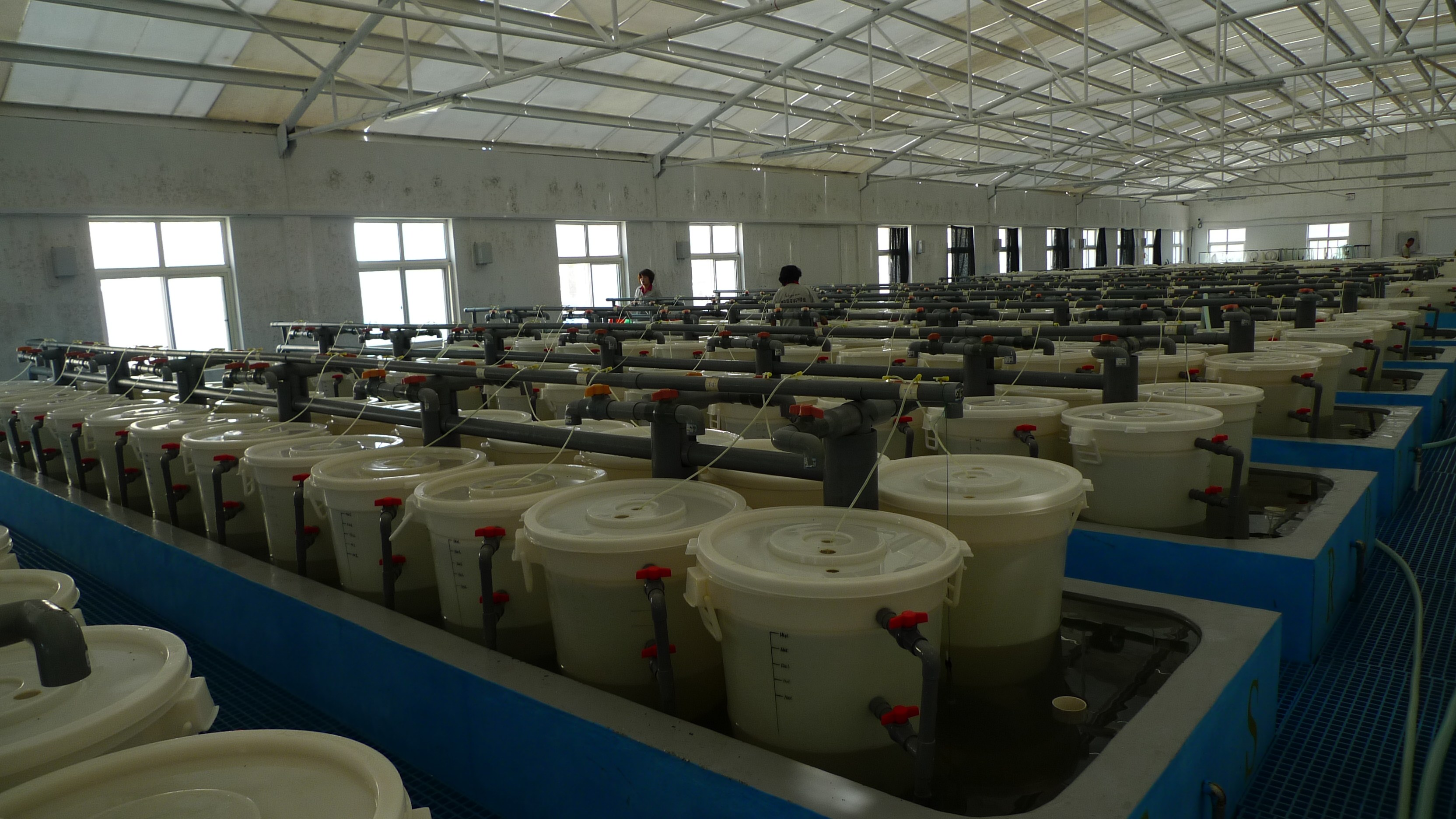 我国规模最大！国家海洋渔业生物种质资源库在青岛揭牌-黄海水产研究所