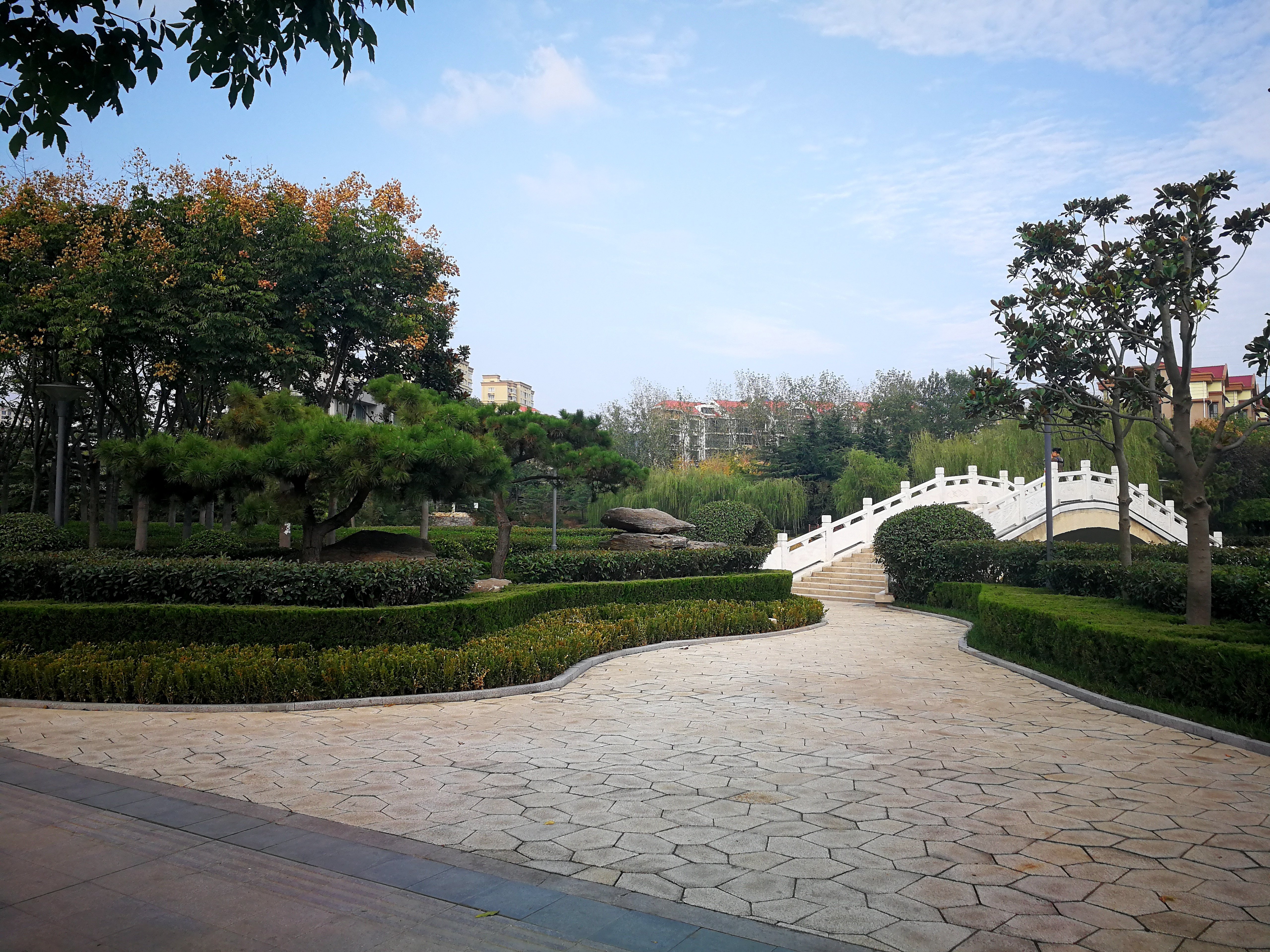 88万余株行道树青岛这个区园林美景遍布美了美了