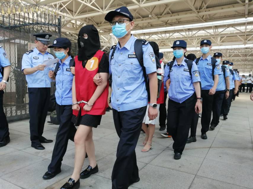 青岛女诈骗犯图片