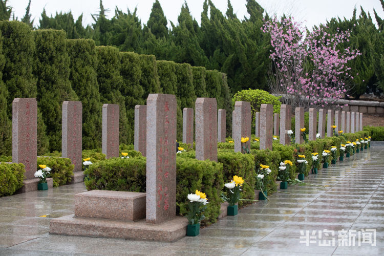 4月3日,嶗山區烈士陵園裡,許多市民冒雨來到這裡祭奠英烈,在革命烈士